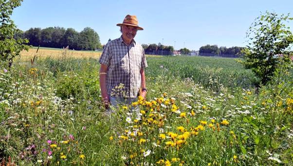 Ein Bild, das drauen, Gras, Pflanze, Feld enthlt.

Automatisch generierte Beschreibung